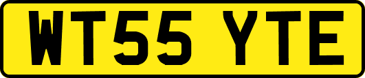 WT55YTE