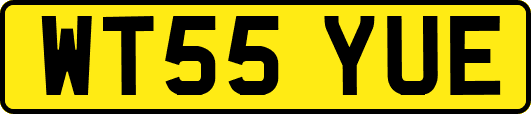 WT55YUE