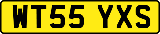 WT55YXS