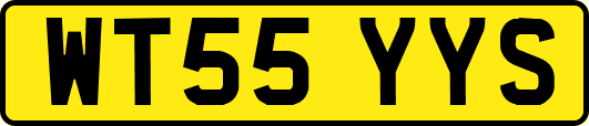 WT55YYS