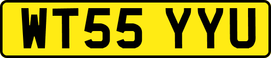 WT55YYU