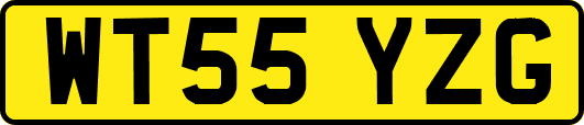WT55YZG