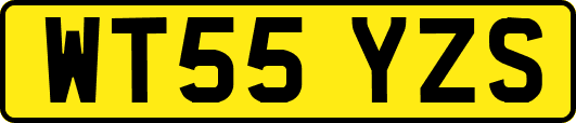 WT55YZS