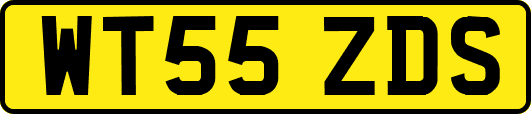WT55ZDS