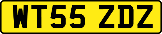 WT55ZDZ