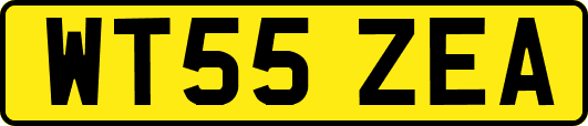 WT55ZEA
