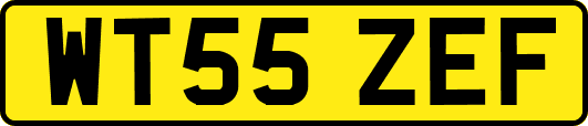 WT55ZEF