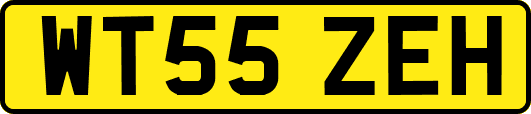 WT55ZEH