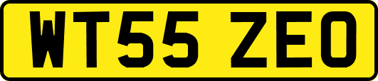 WT55ZEO