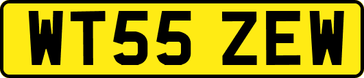 WT55ZEW