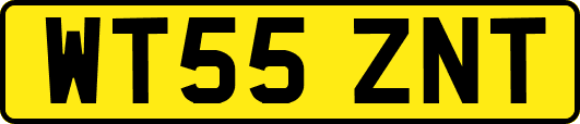 WT55ZNT