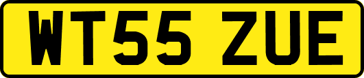 WT55ZUE