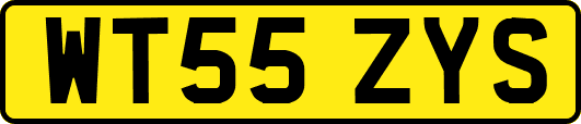 WT55ZYS