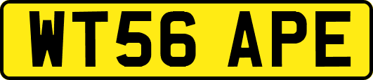 WT56APE