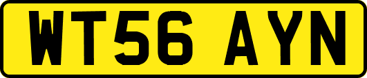 WT56AYN