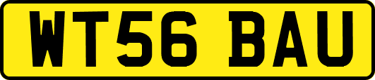 WT56BAU