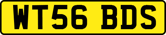 WT56BDS