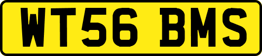 WT56BMS