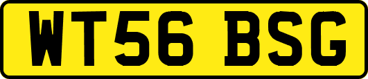 WT56BSG