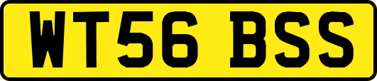 WT56BSS
