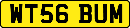 WT56BUM