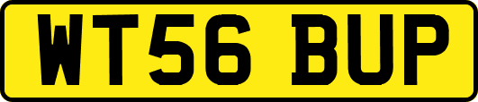 WT56BUP