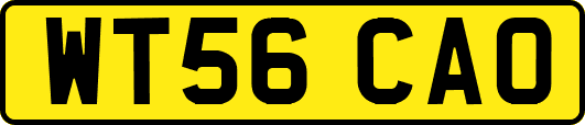 WT56CAO