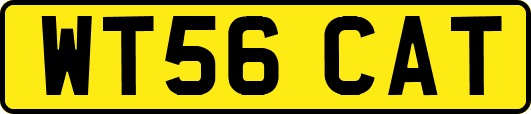 WT56CAT