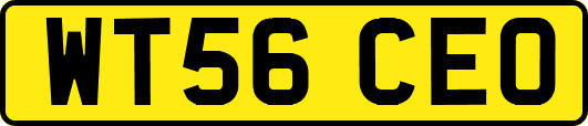 WT56CEO