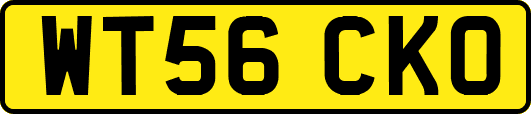 WT56CKO