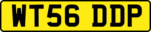 WT56DDP