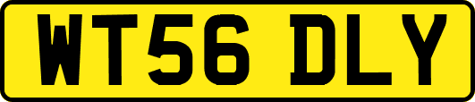 WT56DLY