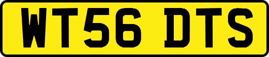 WT56DTS