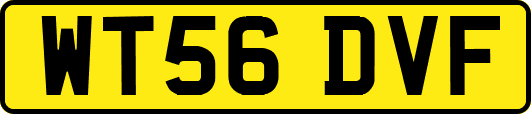 WT56DVF