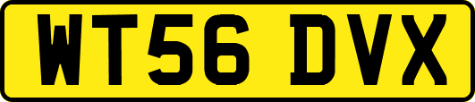 WT56DVX