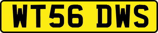 WT56DWS