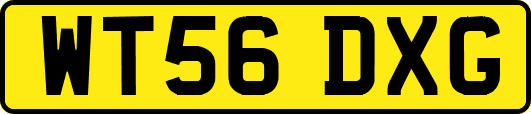 WT56DXG