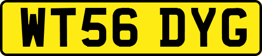 WT56DYG