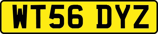 WT56DYZ