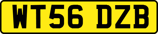 WT56DZB