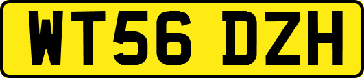 WT56DZH