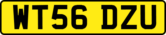 WT56DZU