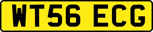 WT56ECG