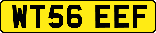 WT56EEF