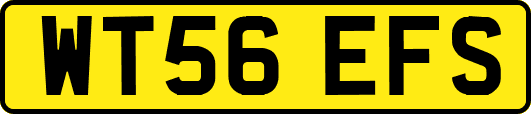 WT56EFS