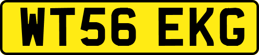 WT56EKG