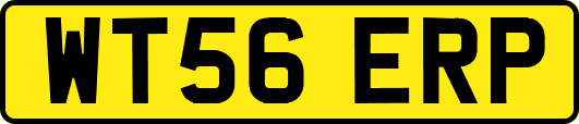WT56ERP