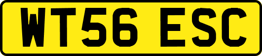WT56ESC