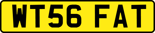 WT56FAT