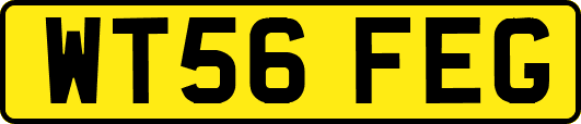 WT56FEG